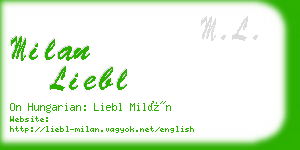 milan liebl business card